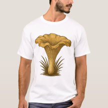 Eierschwammerl / Chanterelle
