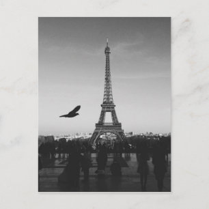 Eiffel Tower in black and white Postcard