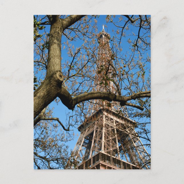 Eiffel tower of Paris in France Postcard (Front)