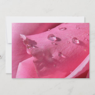 Eiffel Tower Rose Notecard