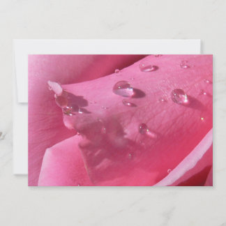 Eiffel Tower Rose Notecard
