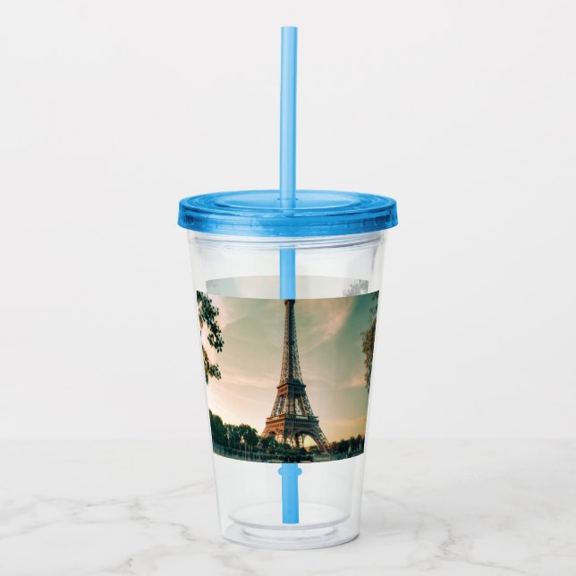 Eiffel tower throw pillow acrylic tumbler (Front)