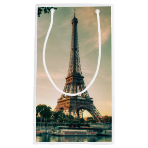 Eiffel tower throw pillow small gift bag