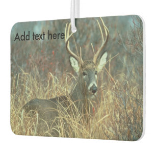 Eight Point Buck in the Grass Air Freshener