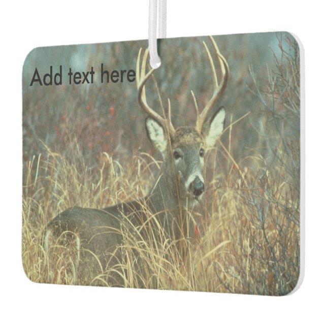 Eight Point Buck in the Grass Air Freshener (Left)