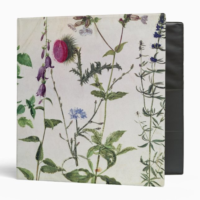 Eight Studies of Wild Flowers Binder (Front/Inside)