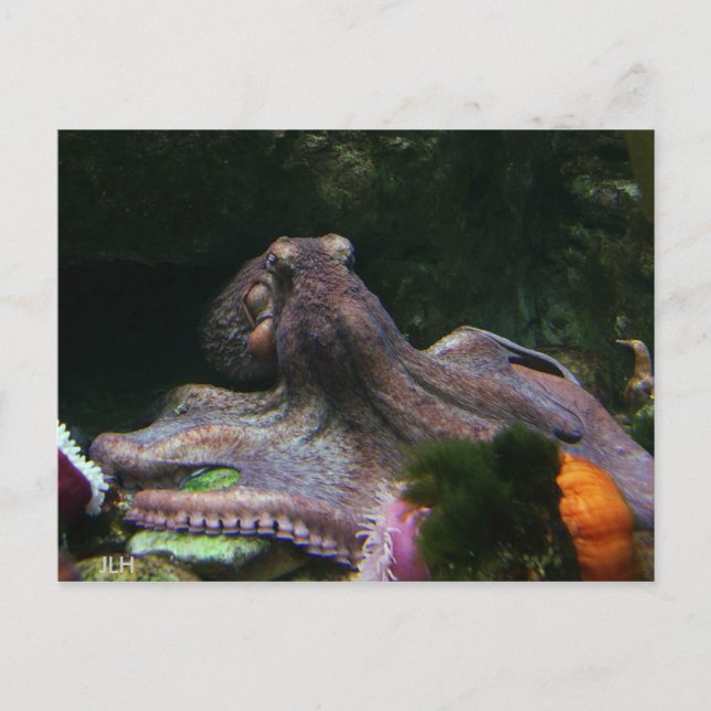 Eight Ways To Grab Postcard (Front)