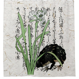 Eighteenth Century Japanese Botanical Frog Toad 