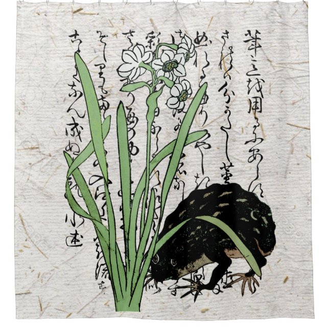 Eighteenth Century Japanese Botanical Frog Toad  (Front)