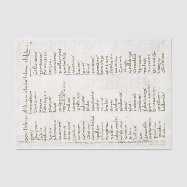 Eighth century garden plants tissue paper (Front)