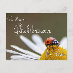 Ein kleiner Glücksbringer für Dich mit Marienkäfer Postcard