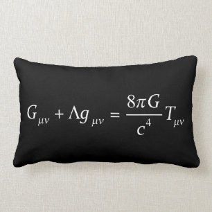 Einstein field equation lumbar pillow