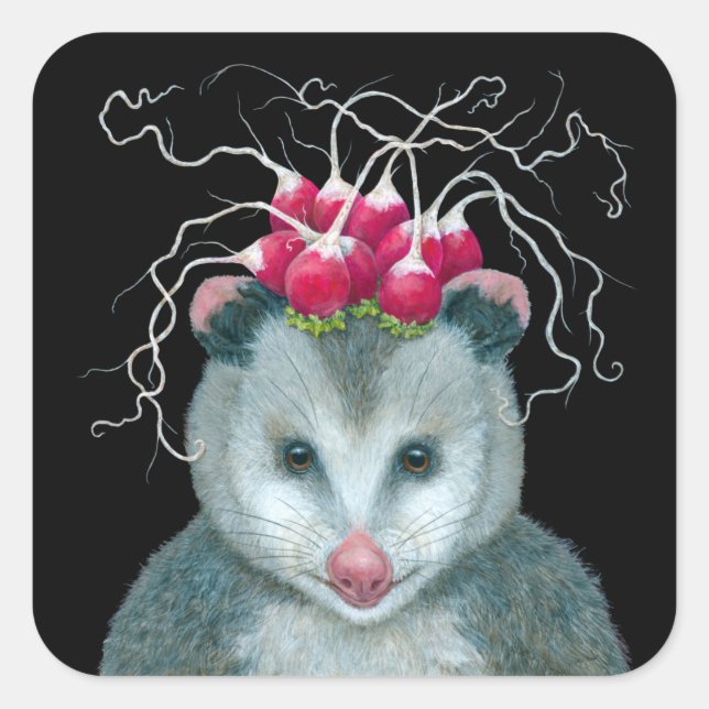 Einstein les autocollants opossum (Devant)