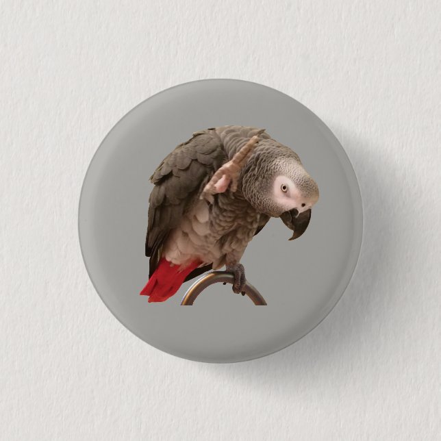 Einstein Parrot Waving 1 Inch Round Button (Front)