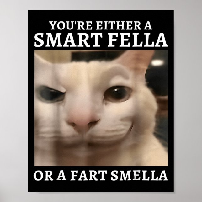 Either A Smart Fella Or A Fart Smella Funny Cat Poster (Front)