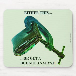 "Either this... or get a budget analyst" Mouse Pad