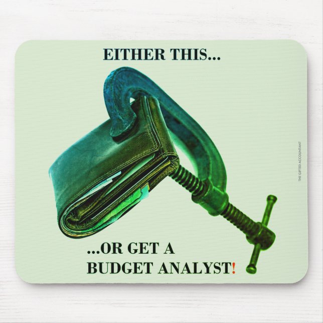 "Either this... or get a budget analyst" Mouse Pad (Front)