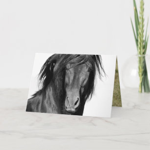 El Caballo Negro Horse Greeting Card