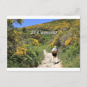 El Camino de Santiago de Compostela, Spain, trail Postcard