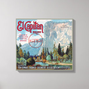 El Capitan Brand San Dimas Oranges Fruit Label Canvas Print