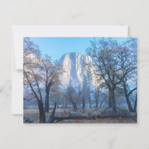 El Capitan Yosemite National Park Postcard