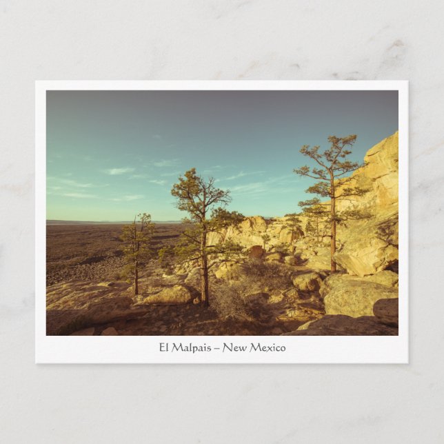 El Malpais - The Sandstone  Bluffs Postcard (Front)