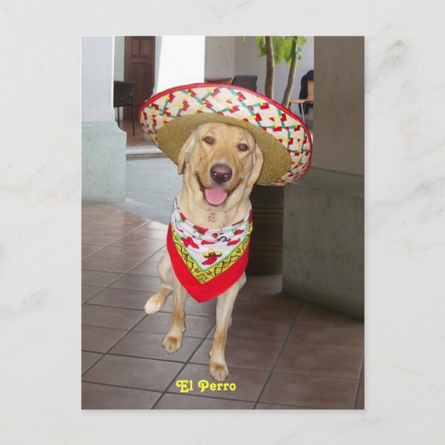 El Perro Postcard (Front)