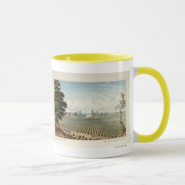 El Pinal Vineyard, San Joaquin County Mug (Right)