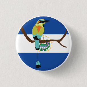 El Salvador Turquoise-browed motmot Torogoz 1 Inch Round Button