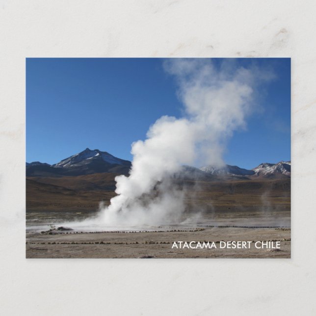 El Tatio Geyser, Atacama Desert, Chile Postcard (Front)