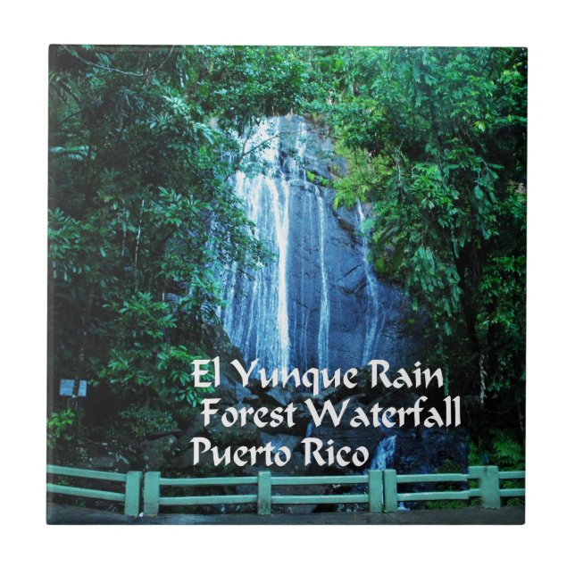 El Yunique Rainforest Tile (Front)