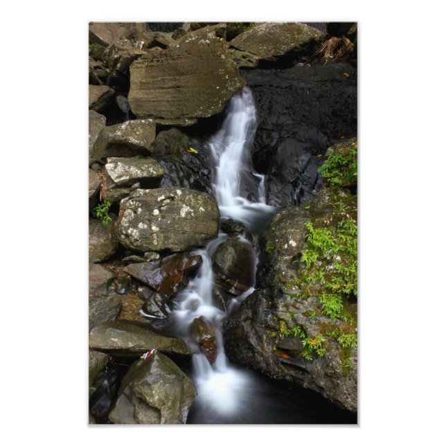 El Yunque Puerto Rico Photo Print (Front)