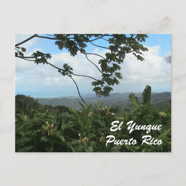 El Yunque Puerto Rico Postcard (Front)