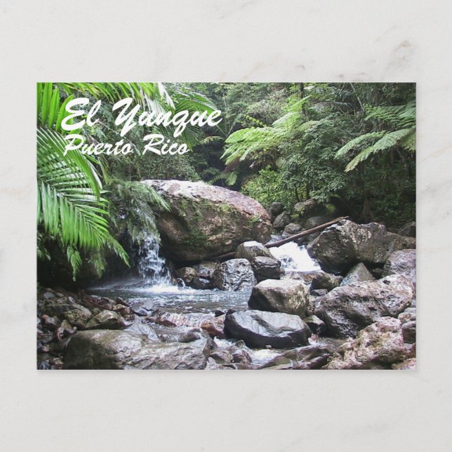 El Yunque, Puerto Rico Postcard (Front)