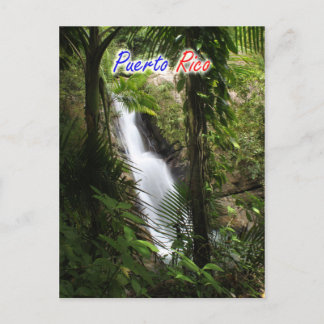 El Yunque Puerto Rico Postcard