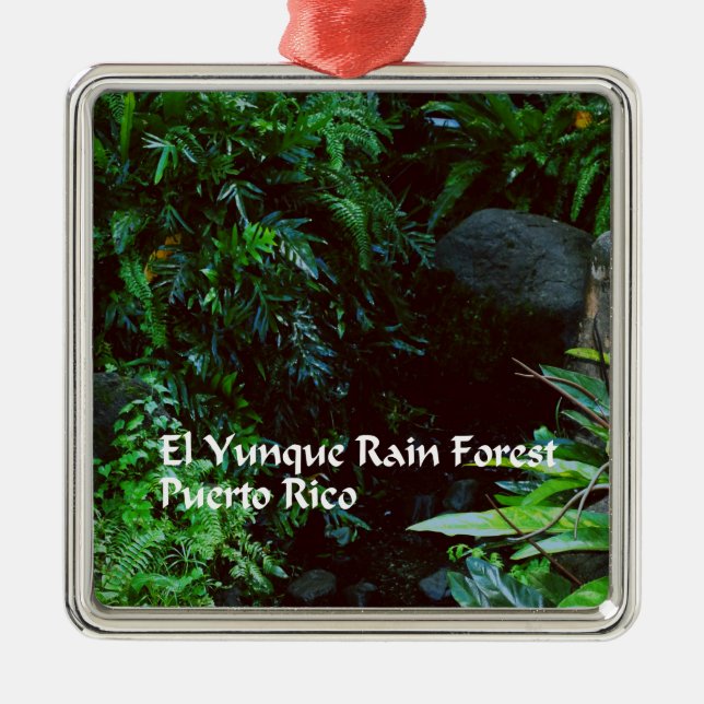 El Yunque Rain forest Metal Ornament (Front)