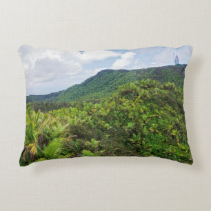 El yunque rainforest and communications tower accent pillow