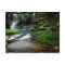 Elakala Waterfalls Swirling Pool Mossy Rocks