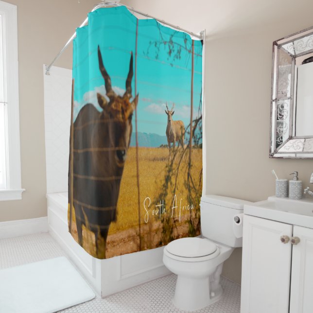 Eland Antelope Animal South Africa ZA (In Situ)