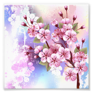 Élargissement de la photo