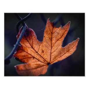 Élargissement de la photo à feuilles d'automne