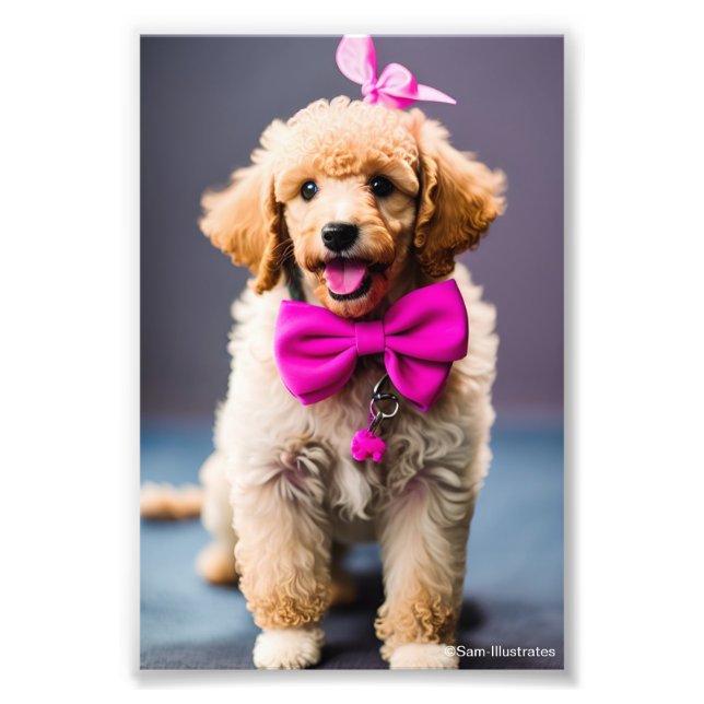 Élargissement de la photo en satin de caniche (Devant)