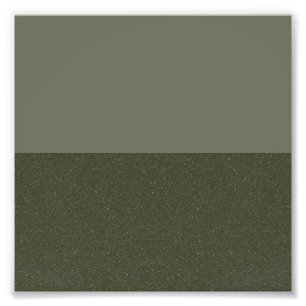Élargissement personnalisé de photo Moss Green Spl
