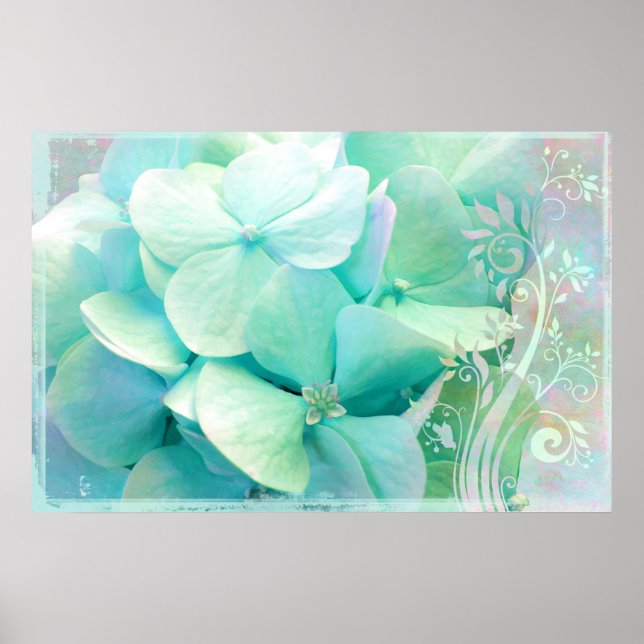 Elation, Mint, Aqua Hydrangea Poster (Front)