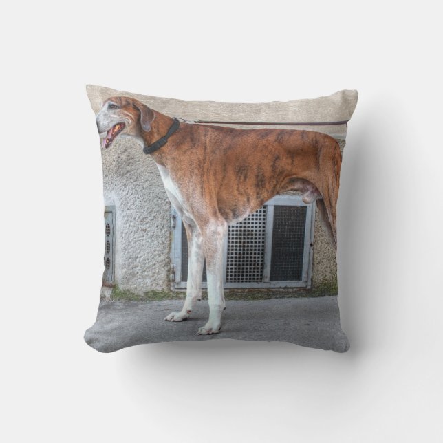 Elder Brindle Greyhound Throw Pillow (Front)