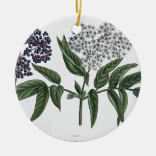 Elder, fig. 13 from 'The Young Landsman', publishe Ceramic Ornament