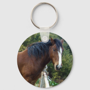 Elderly Clydesdale Horse, Keychain