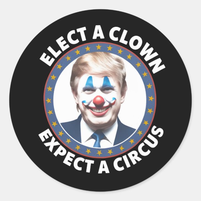 Elect A Clown Expect A Circus Funny Politics Classic Round Sticker (Front)