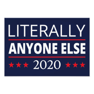 Election 2020, Anti-Trump - Anyone Else III Photo Print