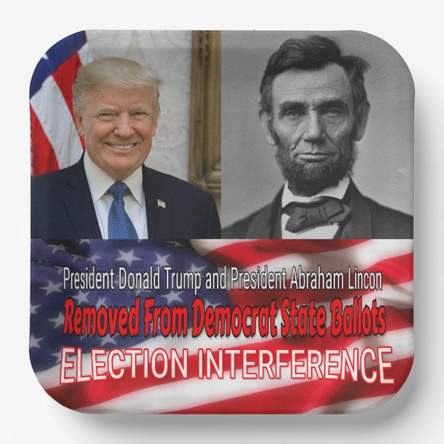Election Interference Paper Plate (Front)